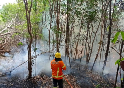 Amazonas teve mais de 6,6 mil focos de incêndio em setembro