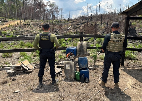PF combate crime de desmatamento ilegal e queimadas no interior do Amazonas