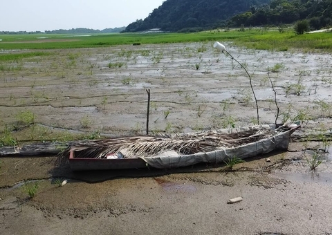 Seca histórica transforma paisagem do Lago do Aleixo, em Manaus
