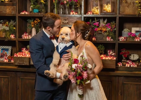 Após temporal, cão pisa em fio de alta tensão e morre eletrocutado