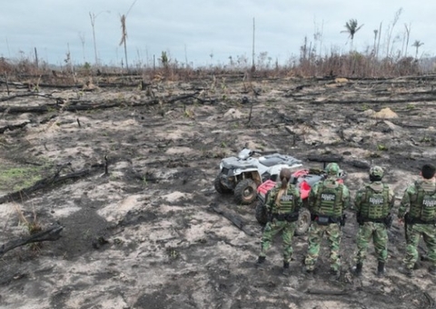MPF denuncia acusados por crimes ambientais em Boca do Acre 