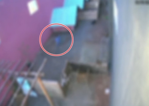 Criança de 9 anos visitou hospital veterinário um dia antes do 'massacre'