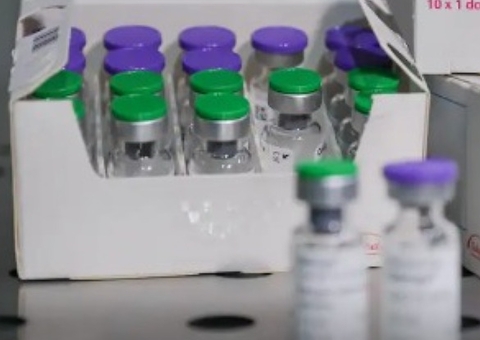 Fiocruz oficializa pedido para produzir vacina contra dengue no Brasil