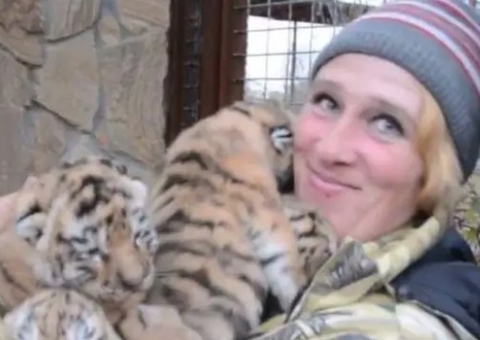 Cuidadora é morta por leões em parque de safári 