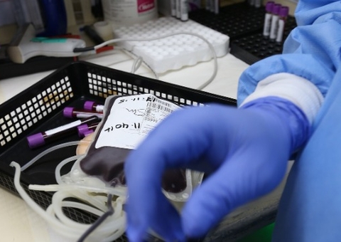 Governo investiga pacientes infectados com dengue após transfusão de sangue em SP