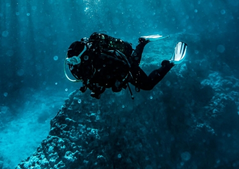 Bolhas no sangue: entenda doença que matou turista após mergulho em Noronha