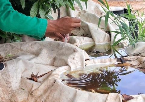 Amazonas registra cinco mortes por dengue 