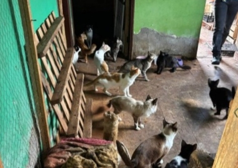 Mulher é presa e multada em R$ 120 mil por maus-tratos contra 40 animais