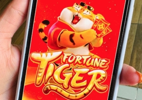 Funcionário procura polícia e confessa desvio de meio milhão de empresa para jogar no 'Tigrinho'