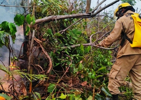 Incêndio destrói área de vegetação na Comunidade Parque das Tribos