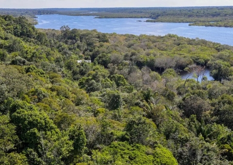 Desmatamento na Amazônia cai 30,6% com menor área desmatada desde 2013