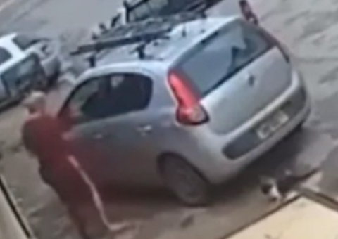 Mulher é presa após atropelar gato de propósito; animal morreu 