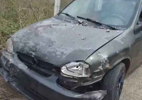 Irmãos gêmeos de 2 anos morrem atropelados após pai perder controle do carro