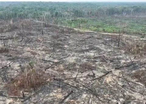 TRF nega liberdade a acusado de grilagem de terras e devastação de floresta no Amazonas