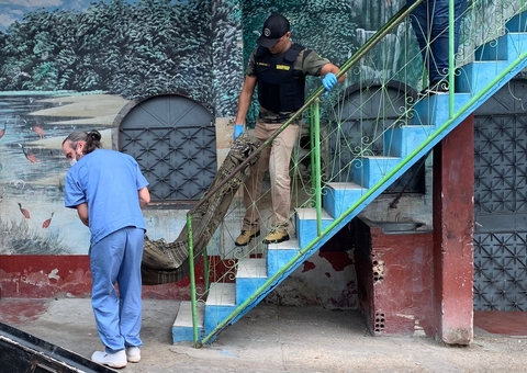 Homem achado morto em quitinete levou 15 facadas; vizinhos dizem ter ouvido gritos 