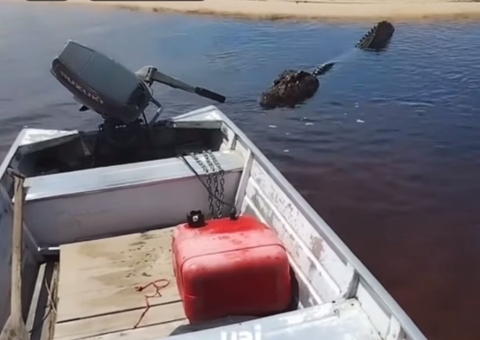 Jacaré gigante assusta banhistas de praia no Amazonas; vídeo