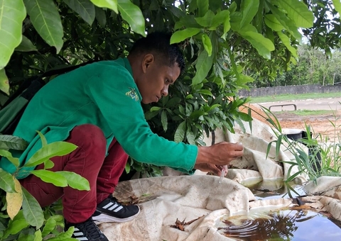 Saúde atualiza casos de arboviroses no Amazonas