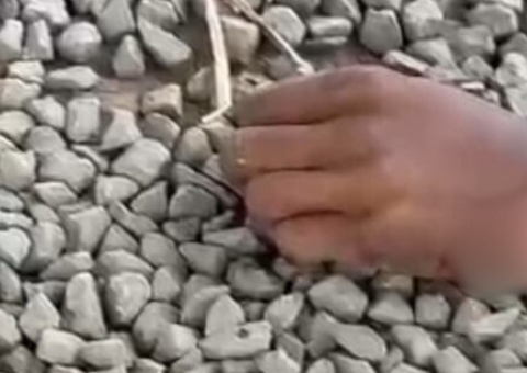 Ladrão tem mão decepada com facão durante assalto; Veja