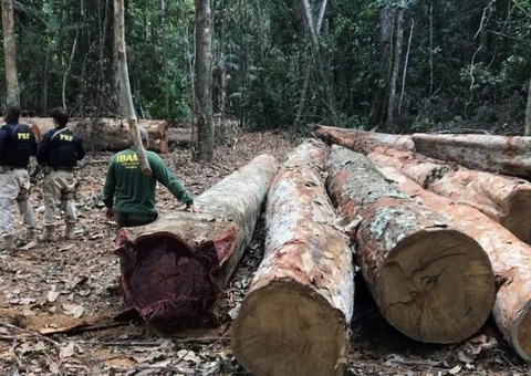 TRF1 determina devolução de veículo apreendido em investigação por excesso de prazo no Amazonas