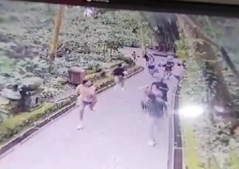 Árvore gigante cai em cima de turistas em santuário de macacos; duas morreram