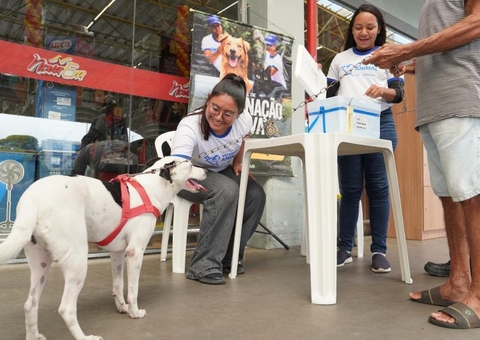 Oferta de vacina antirrábica é retomada em 10 supermercados de Manaus
