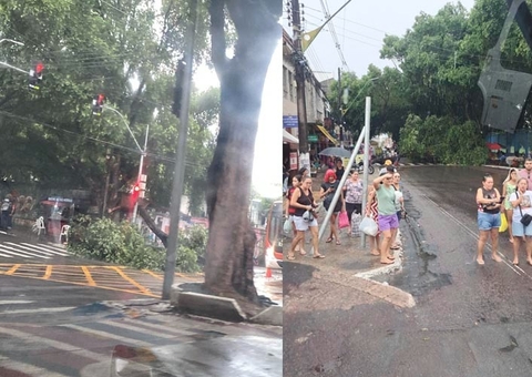 Árvores caem durante chuva e deixam trânsito caótico no Centro de Manaus
