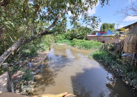 Idoso desaparece após cair em igarapé durante chuva: 'Tem muito jacaré aí'