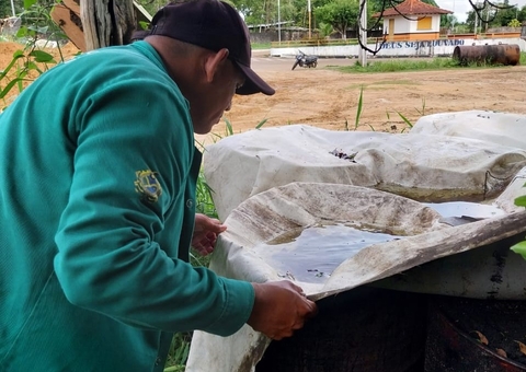 Amazonas chega a 7,5 mil casos de dengue