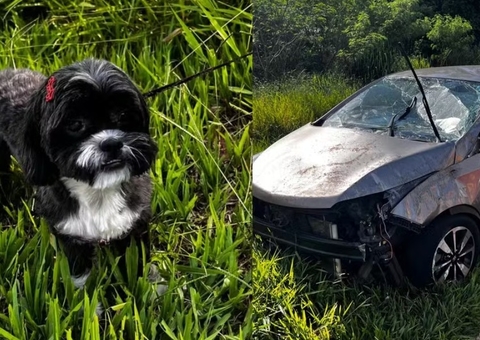 Carro capota com duas crianças após cachorro pular no colo de motorista