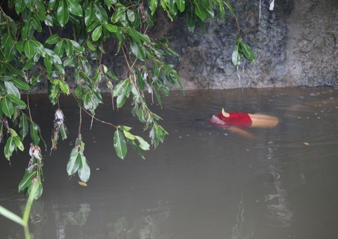 AO VIVO: Homem é encontrado morto em igarapé de Manaus
