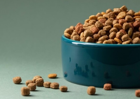 Bebê morre engasgado com ração de cachorro