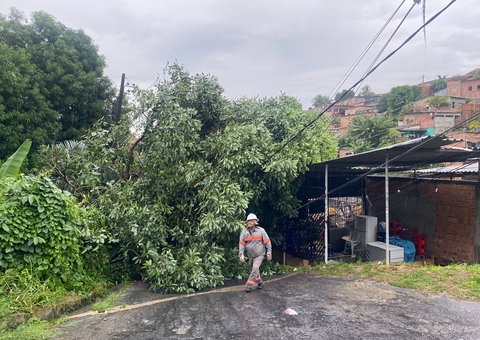 Queda de árvore em rede elétrica deixa moradores assustados durante chuva em Manaus