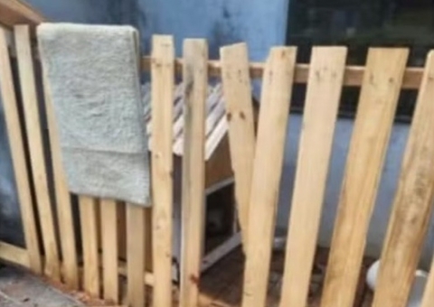 Cão pitbull ataca 3 pessoas e é morto a tiro após avançar em policial