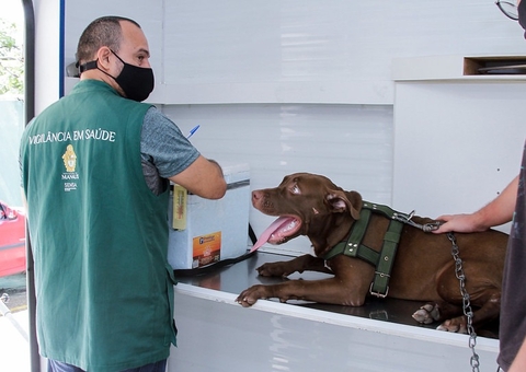 Prefeitura de Manaus abre agendamento para castração de cães e gatos