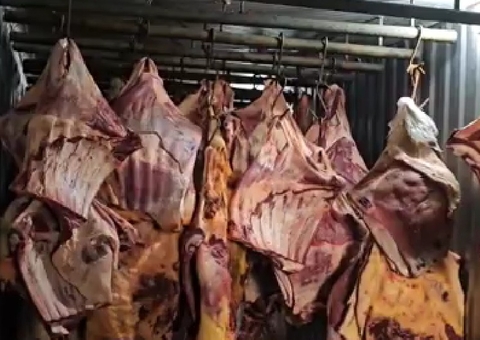 Operação mira empresa que vendeu carne estragada que ficou submersa na enchente de Porto Alegre