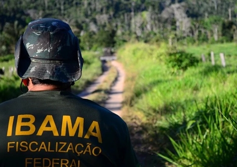 Ibama divulga edital de concurso com 460 vagas e salários de até R$ 9,9 mil