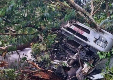 Caminhão com carga tóxica tomba e atinge área de parque nacional 