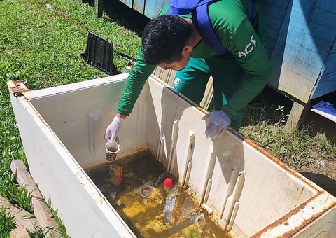 Amazonas confirma 344 casos de dengue e 5 de chikungunya