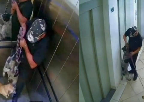 Câmeras flagram homem maltratando cães dentro de elevador