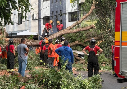 Manaus registra sete ocorrências causadas por forte chuva