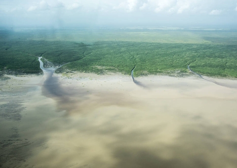 Petrobras já treina resgate de animais atingidos por óleo na Foz do Amazonas, e invasões avançam em Oiapoque