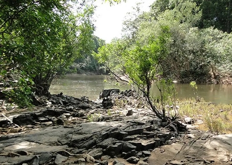 Governo lança edital para concessão da Flona do Jatuarana, no Amazonas