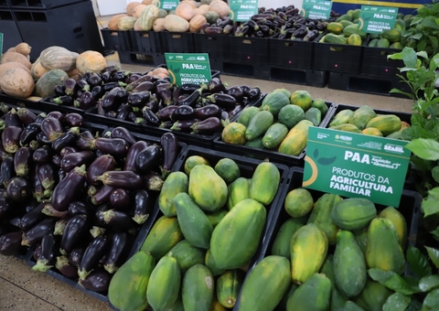 Inscrições para o PAA no Amazonas são prorrogadas 