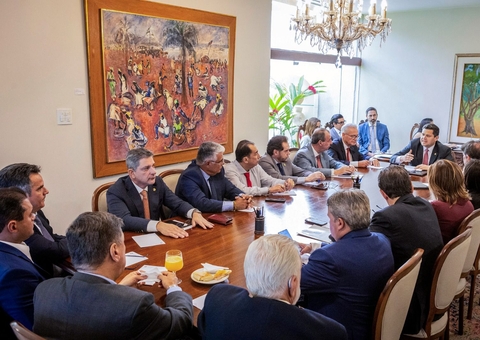 Plínio Valério participa de reunião para definir rumos do Senado e comissões para reconstrução da BR-319