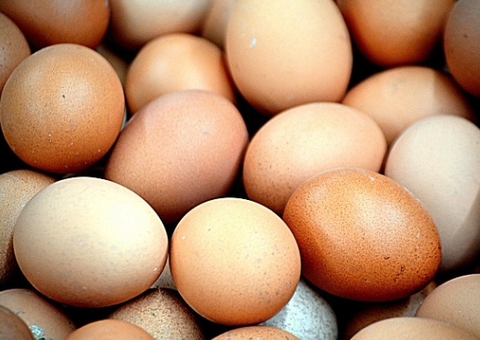 Calor ameaça preços de frutas e afeta produção de ovos