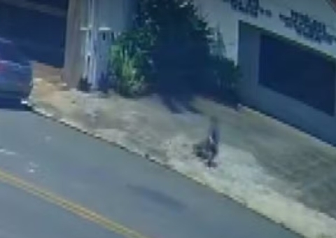 Vídeo: Menino de 4 anos foge de escola e é resgatado por desconhecido 