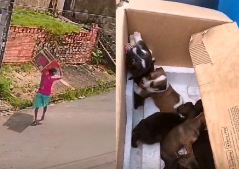 Vídeo: Homem é flagrado abandonando filhotes de cachorro na Redenção