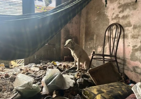 Homem é preso suspeito de maltratar e abusar sexualmente de animais 