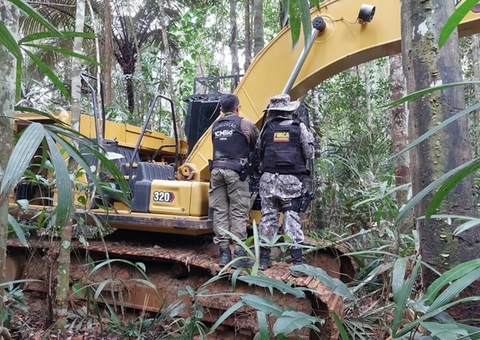 MPF pede condenação de réu por lavar R$ 217 milhões em ouro ilegal na Amazônia