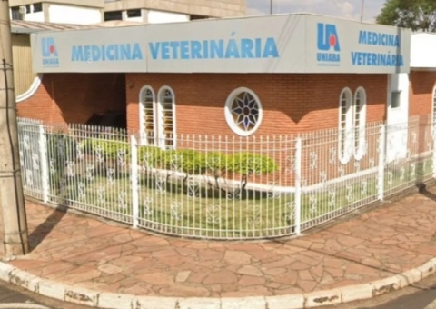 Calouros são forçados a beijar cabeça de porco em trote universitário